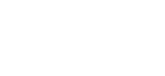 גינדי החזקות